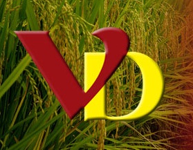 Restaurant VanDo - Logo